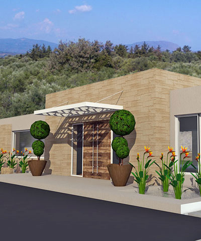 Olive Grove Project